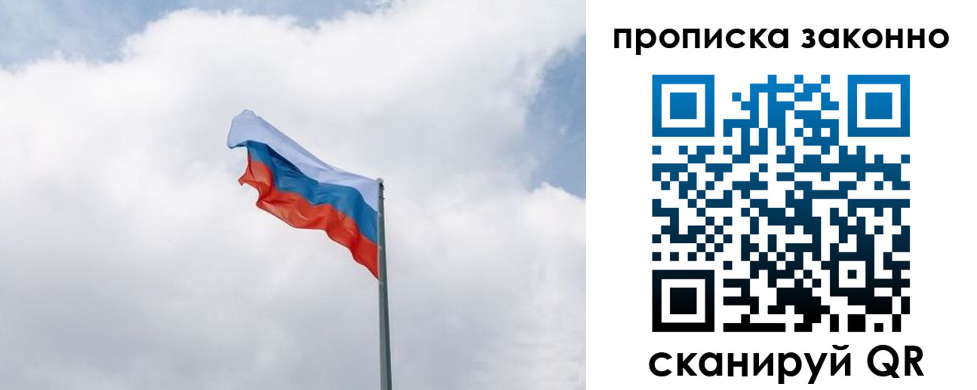прописка поиск в Солнечногорске